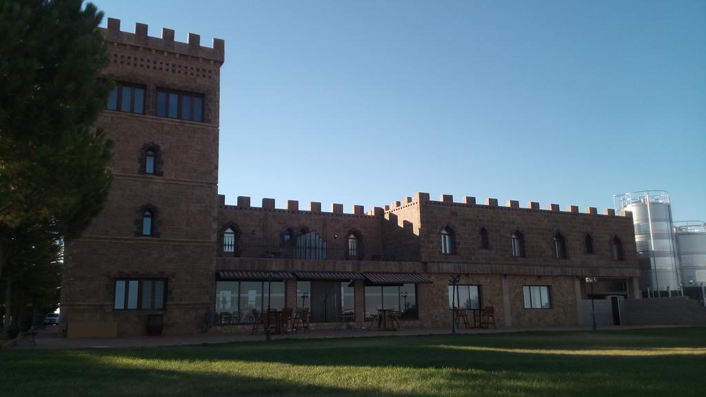 Hotel Vinedos Y Bodegas El Castillo Villarrobledo Exterior foto